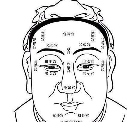 鼻子风水|面相入门